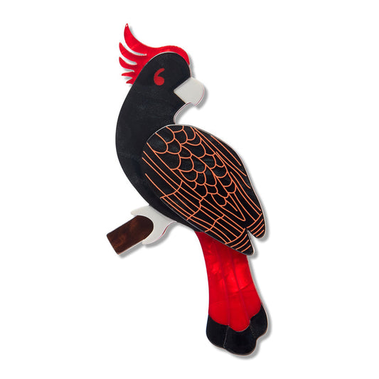 a black and red bird