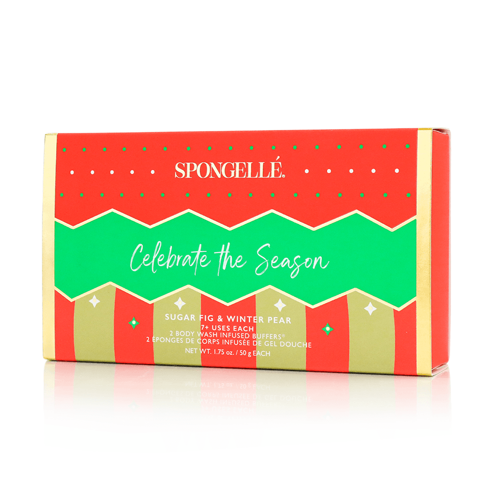 Celebrate the Season | Holiday Ornament Gift Set