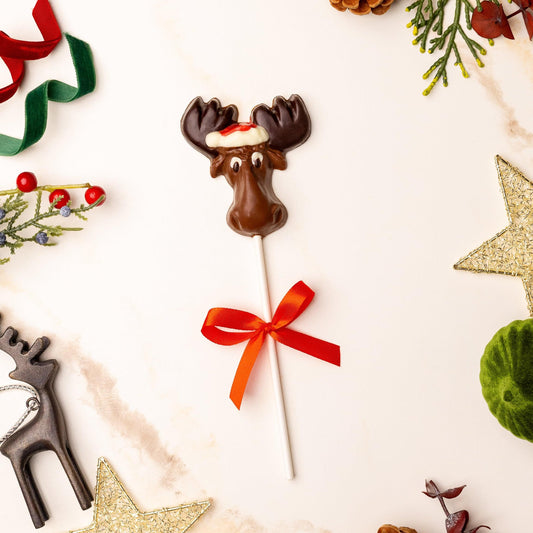 a chocolate moose lollipop with a red bow surrounded by decorations