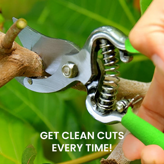 Classic Bypass Pruning Shears Clippers (Green)