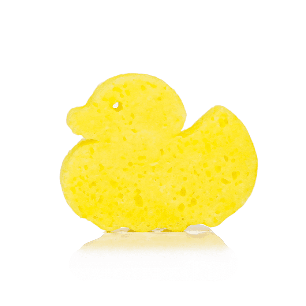 Danny Duck | Farm Animals