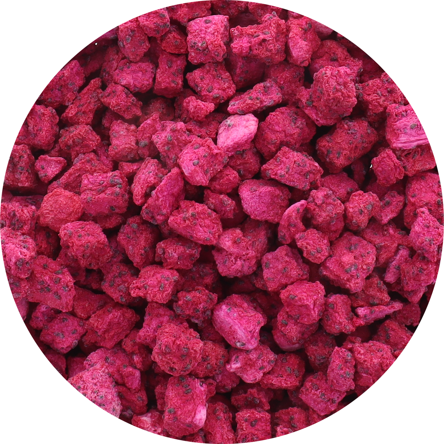 Freeze Dried Organic Red Dragon Fruit