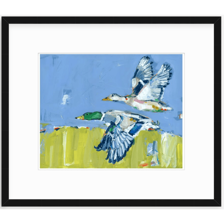 Duck Krausing Mallard Ducks Fine Art Print