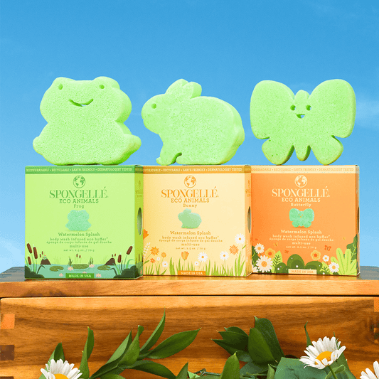 a group of sponges on top of boxes