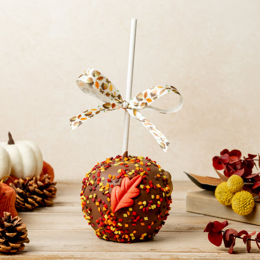 Fall Chocolate Caramel Apple
