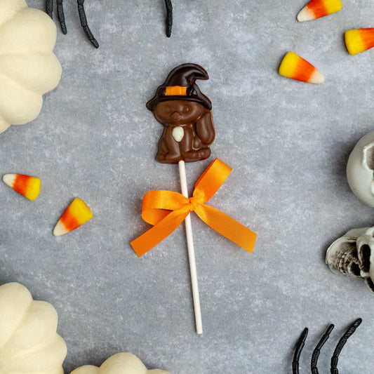 Purrfectly Bewitched Lolly