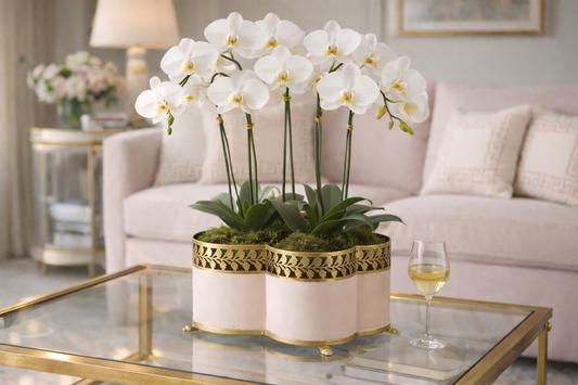 a white orchids in a vase on a glass table