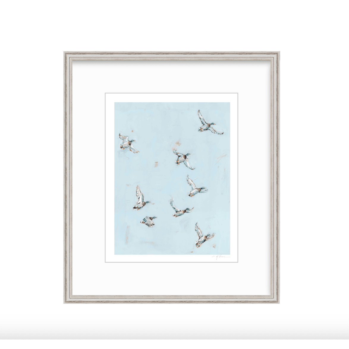 Free Flying Ducks Fine Art Print