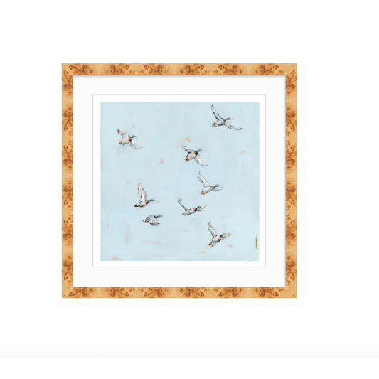 Free Flying Ducks Fine Art Print