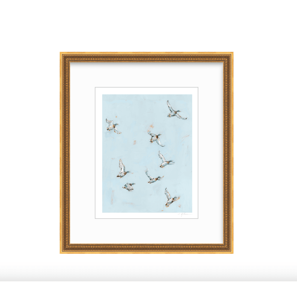 Free Flying Ducks Fine Art Print