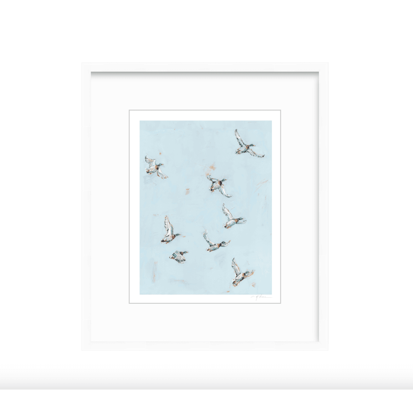 Free Flying Ducks Fine Art Print