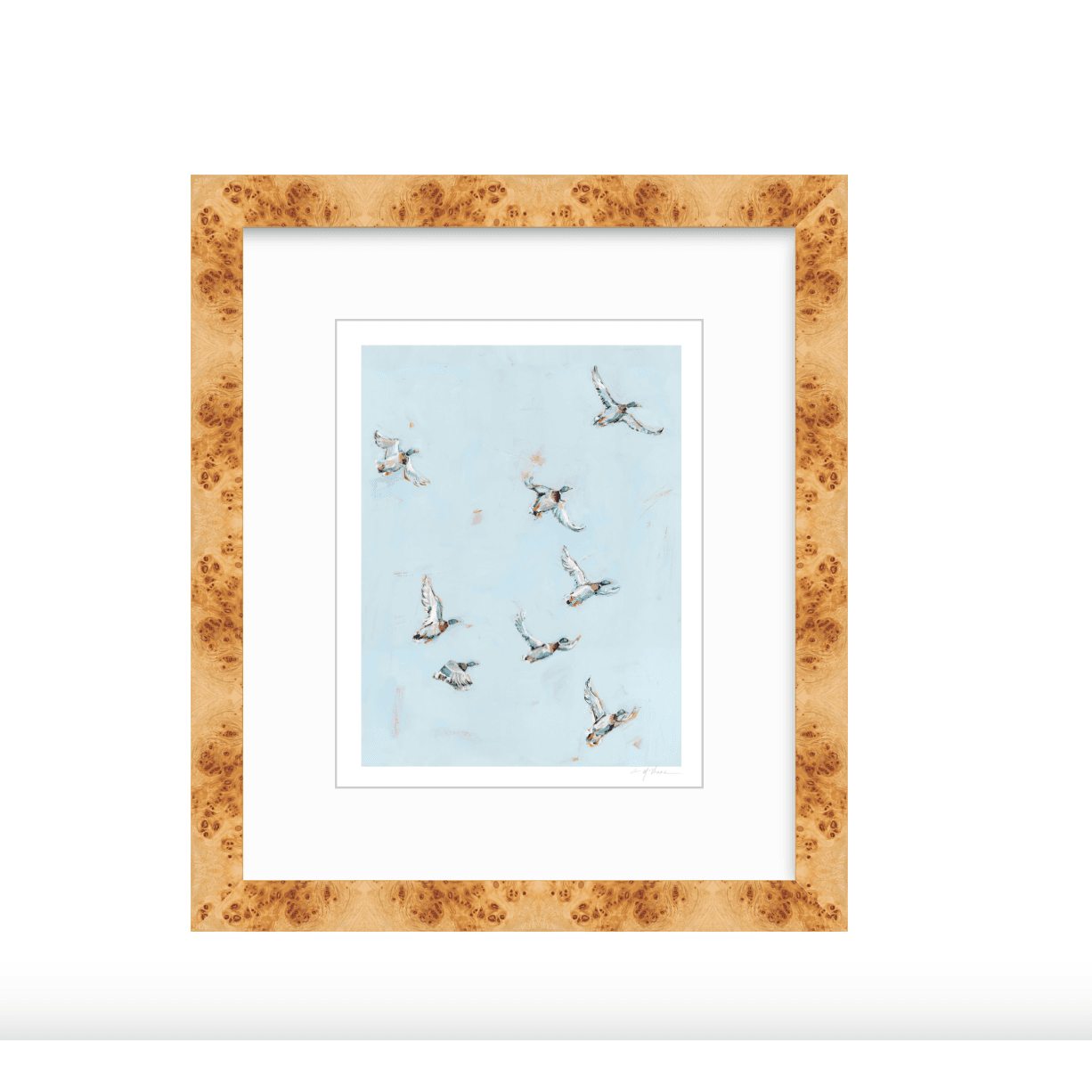 Free Flying Ducks Fine Art Print