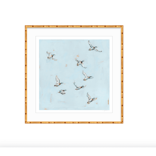Free Flying Ducks Fine Art Print