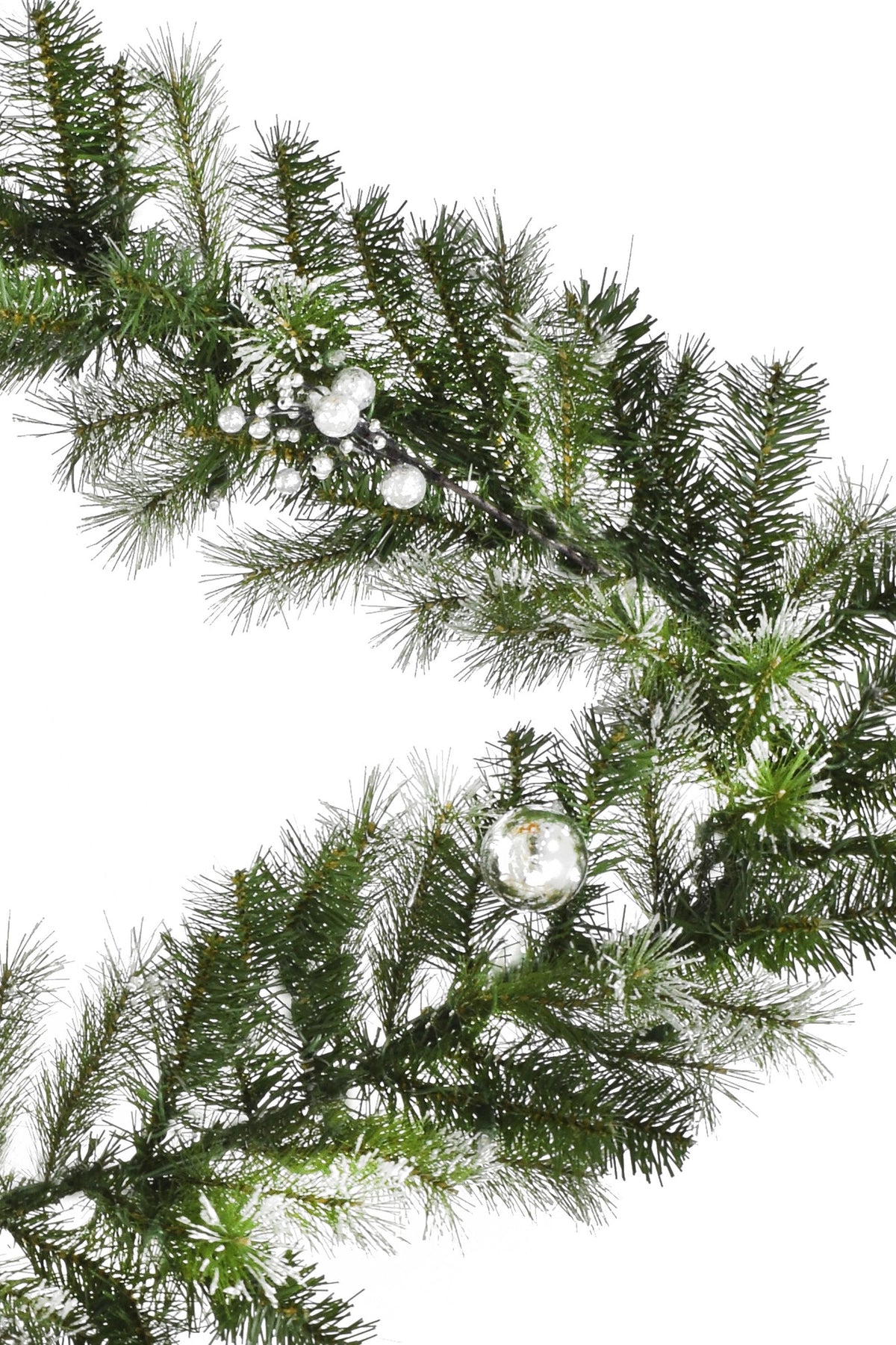 a close up of a tree branch