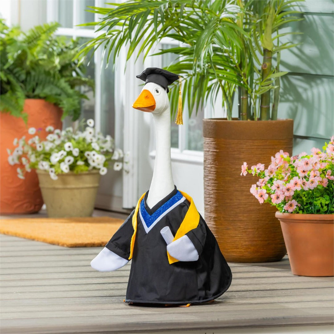 Graduation Day  Porch Goose Outfit