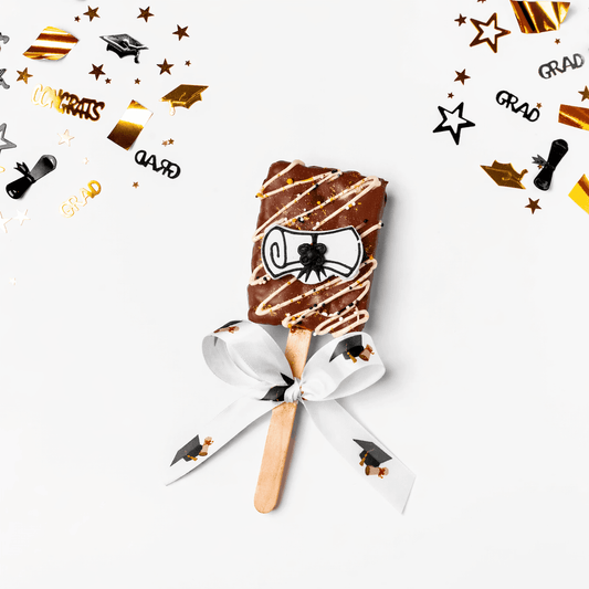 a chocolate covered ice cream on a stick with a bow