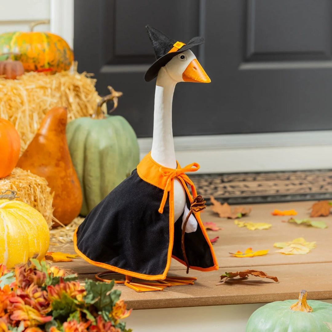 Halloween Witch Porch Goose Outfit