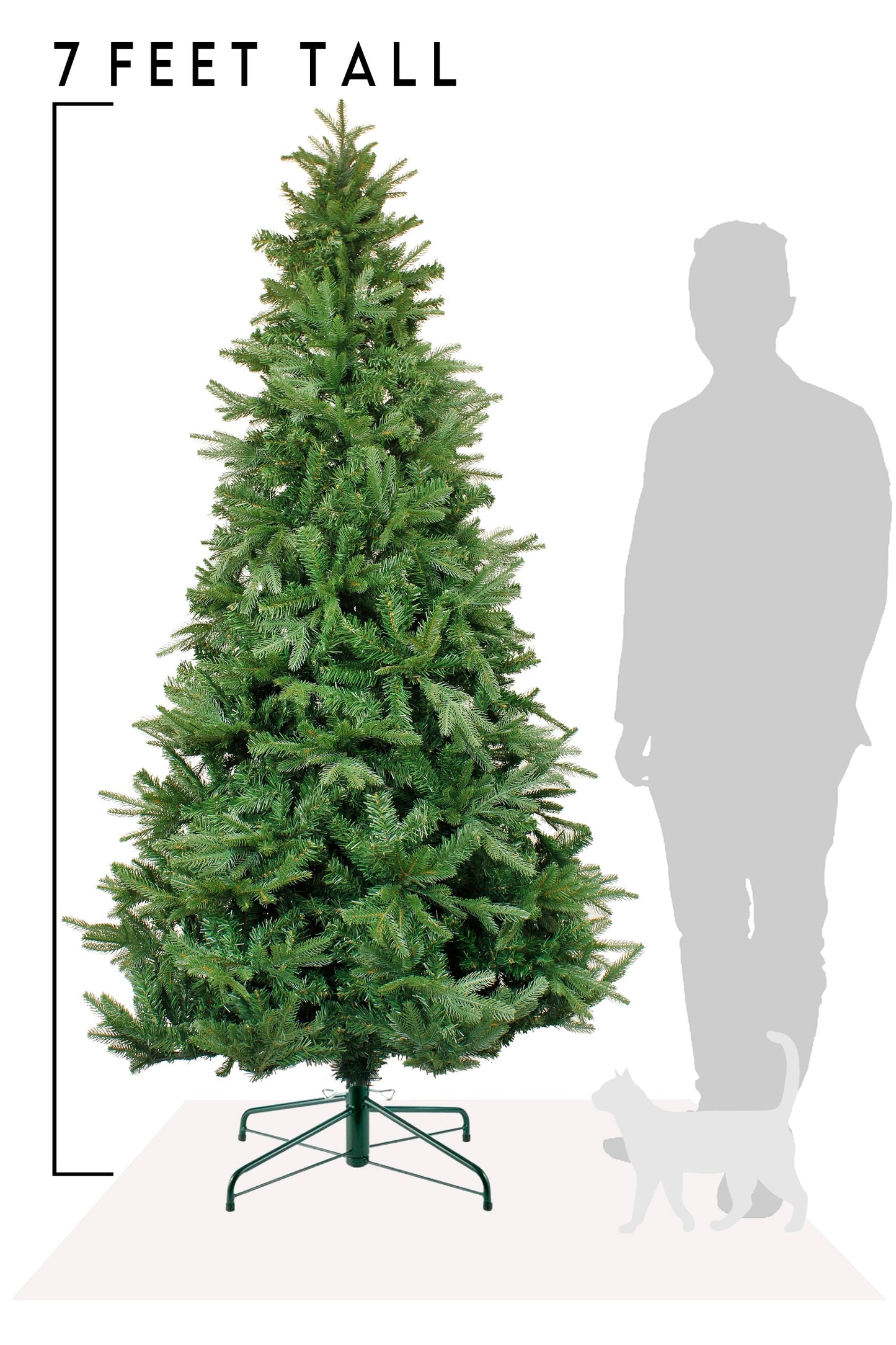 Northern Shasta Fir Full Christmas Tree