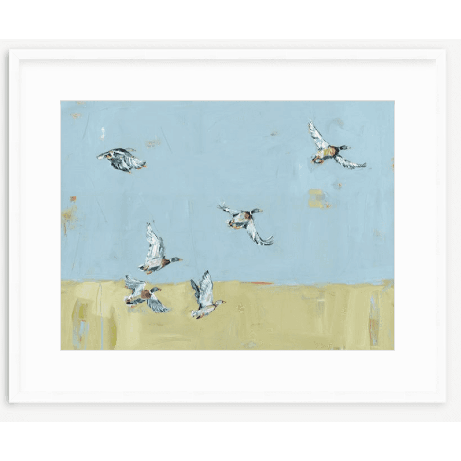 Here We Go Again Ducks Fine Art Print