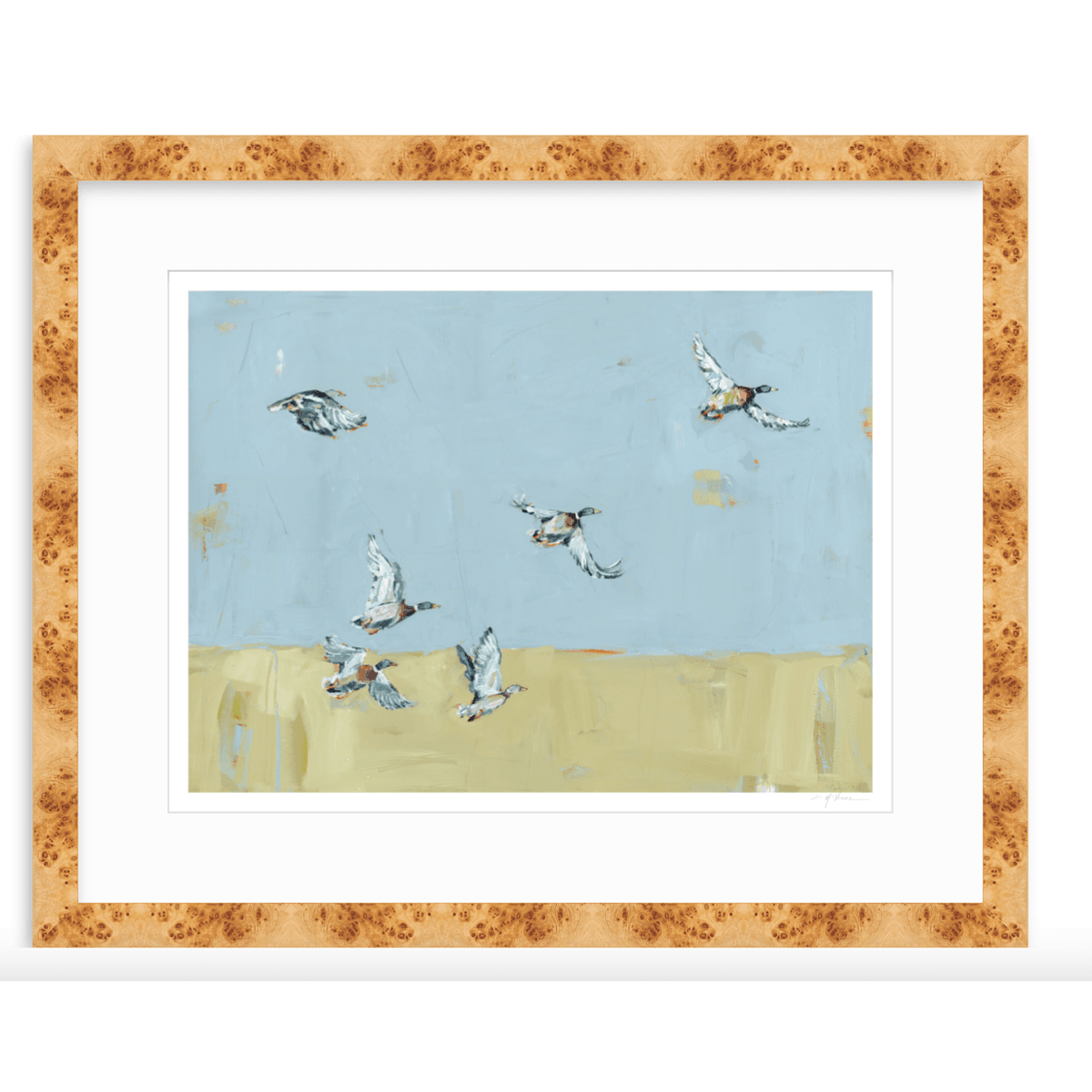 Here We Go Again Ducks Fine Art Print