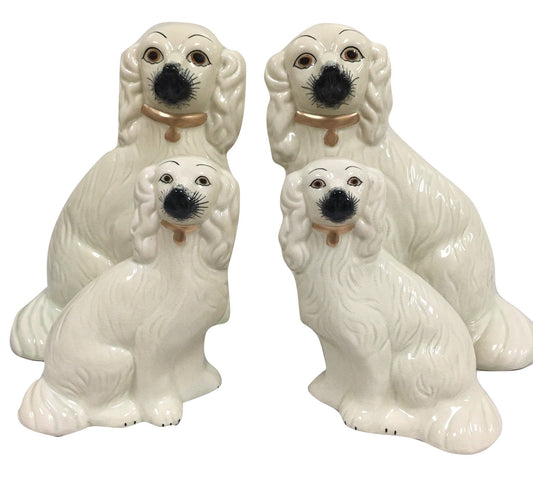 a group of white dogs with black and gold collars