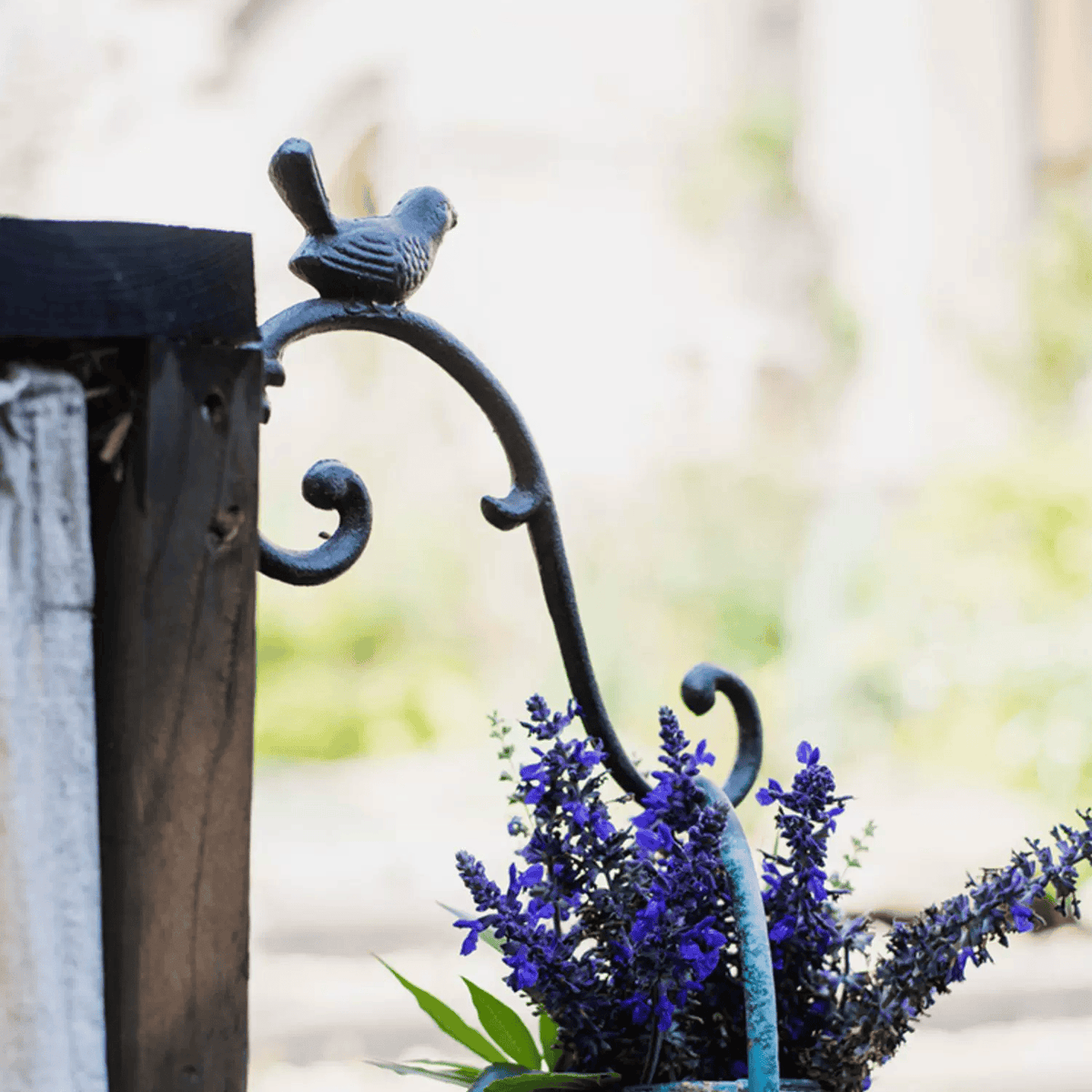 Rustic Cast Iron Bird Wall Hook