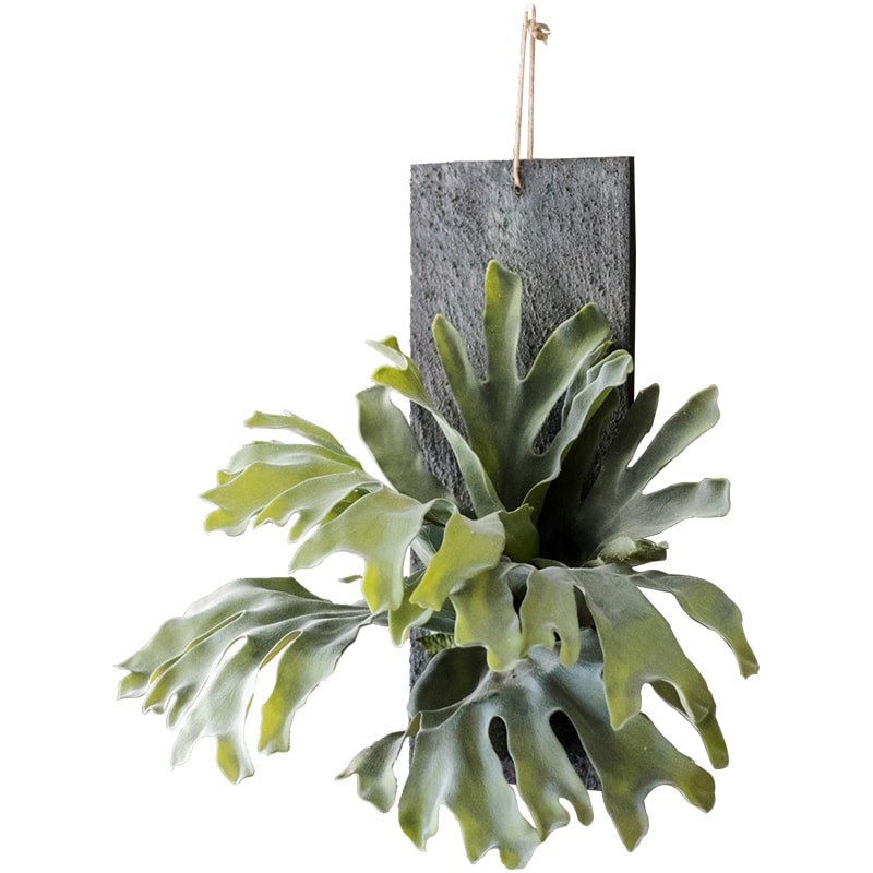 Artificial Faux Fern Madagascar Staghorn Wood Board Hanging
