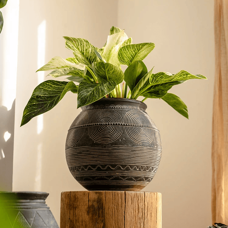 Tribal Carved Cement Planter
