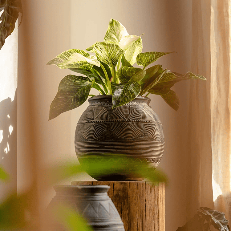 Tribal Carved Cement Planter