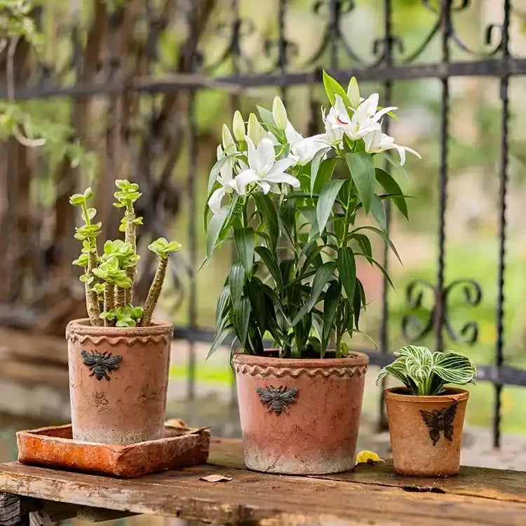 Vintage Bee Terracotta Planter
