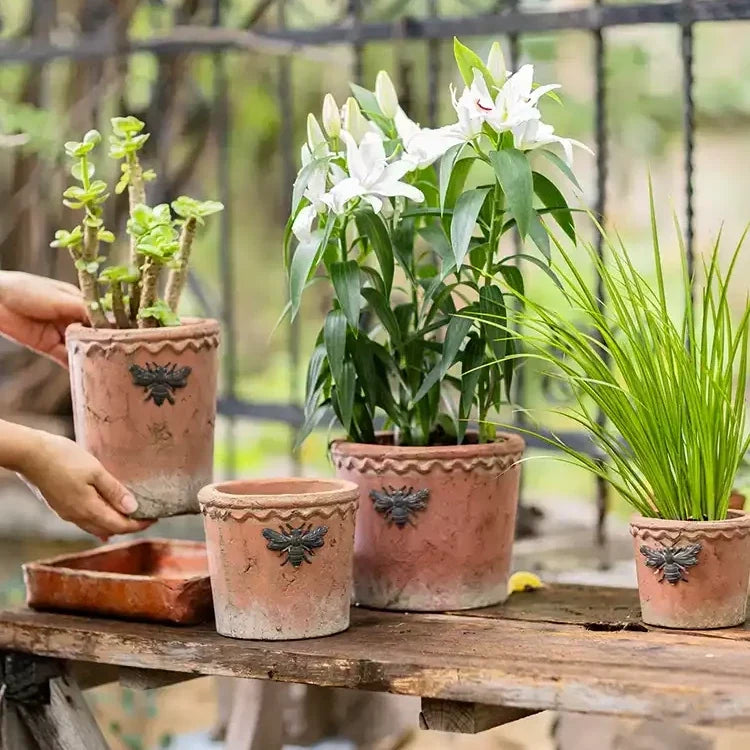 Vintage Bee Terracotta Planter