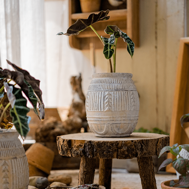 Yukun Terracotta Planter Stoneware