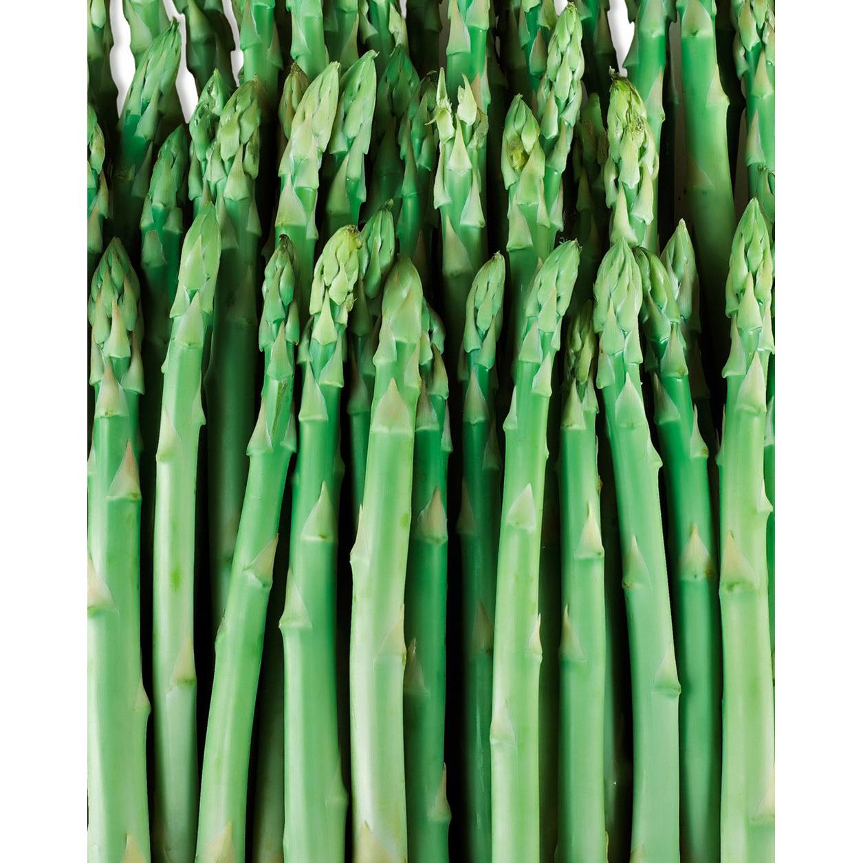 Jersey Giant Asparagus Crowns - 10 root divisions