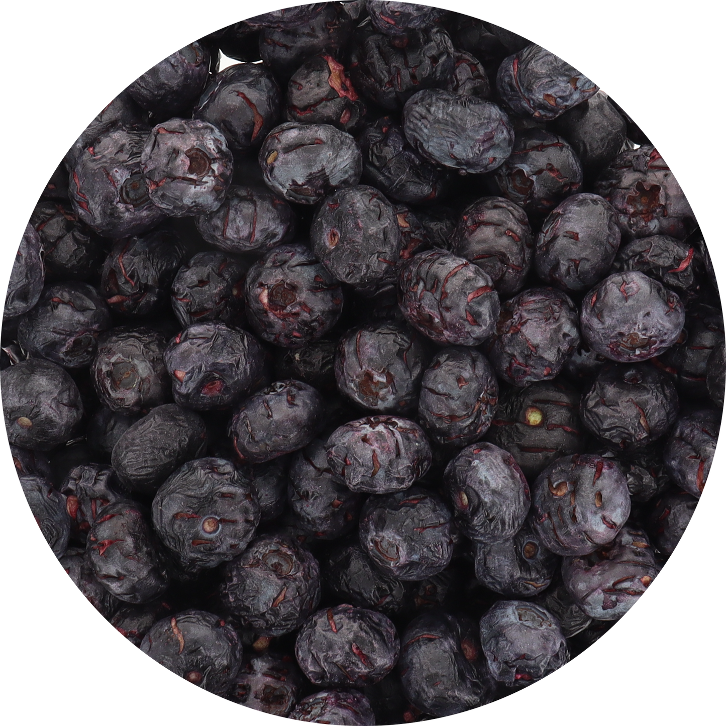 Freeze Dried Blueberries