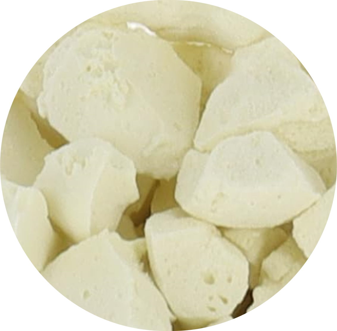 Freeze Dried Ice Cream That Does Not Melt (Bits) Key Lime