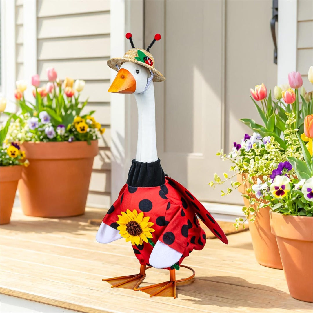 Ladybug Porch Goose Outfit Cloths