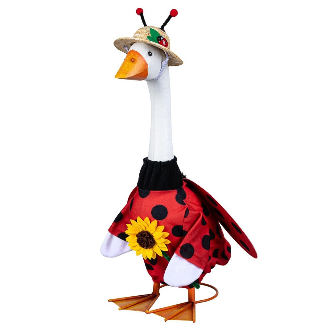 Ladybug Porch Goose Outfit Cloths