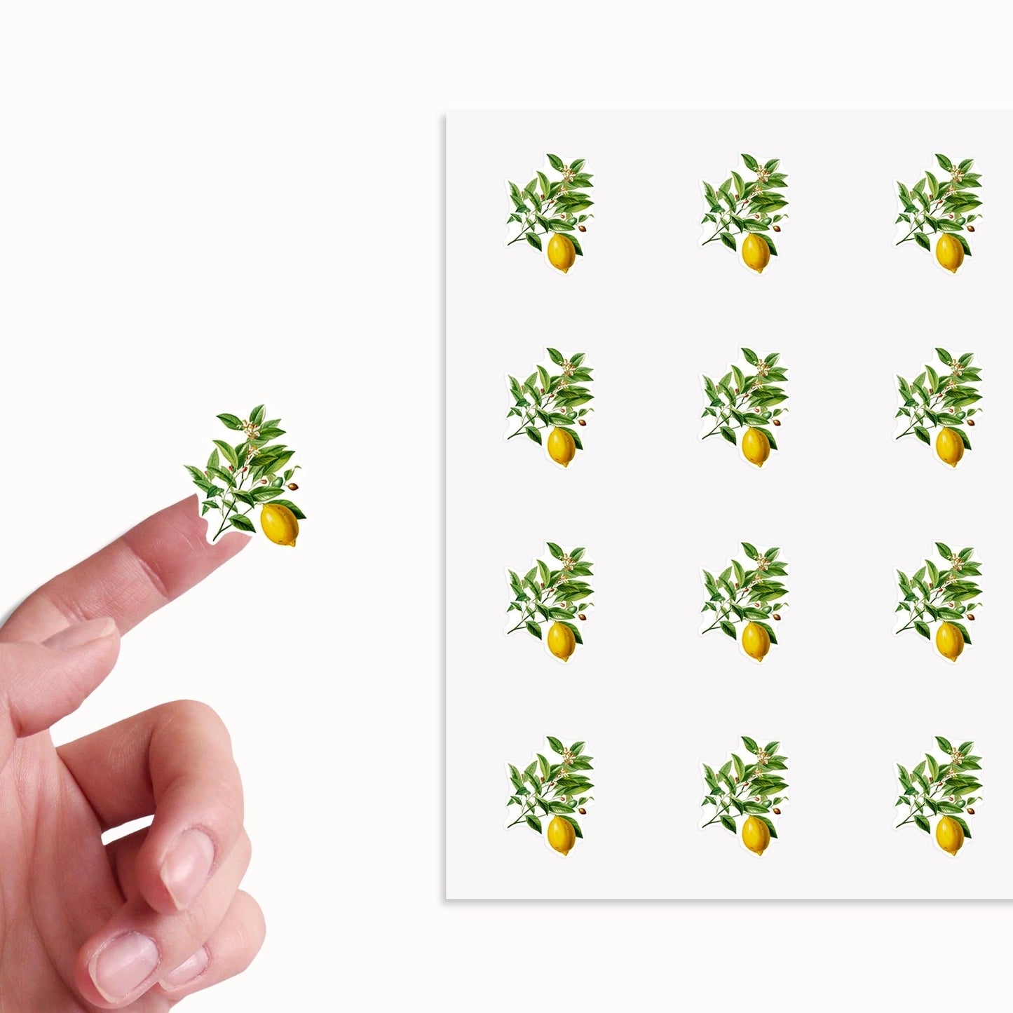 Lemon Stickers