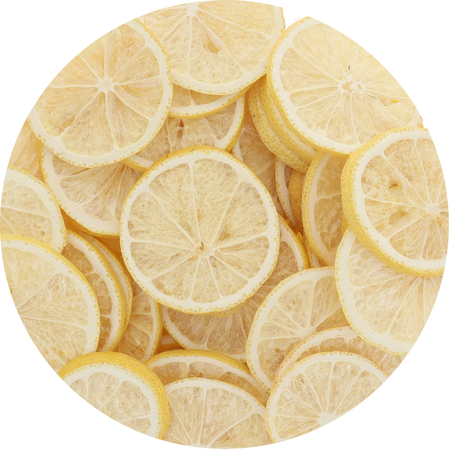 Freeze Dried Lemon Slices