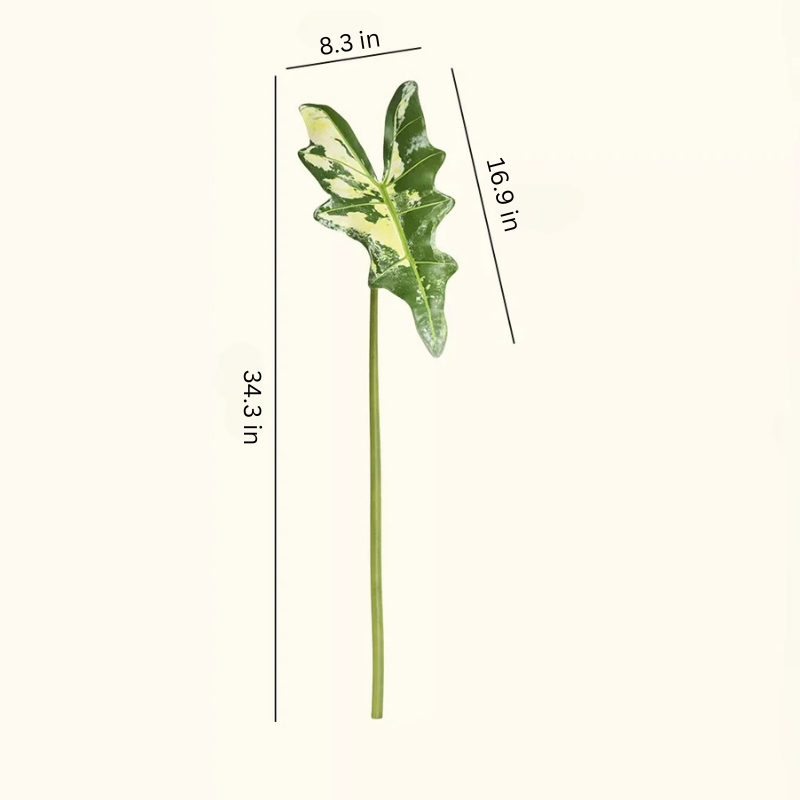 Statement Alocasia Leaf – 34.3"