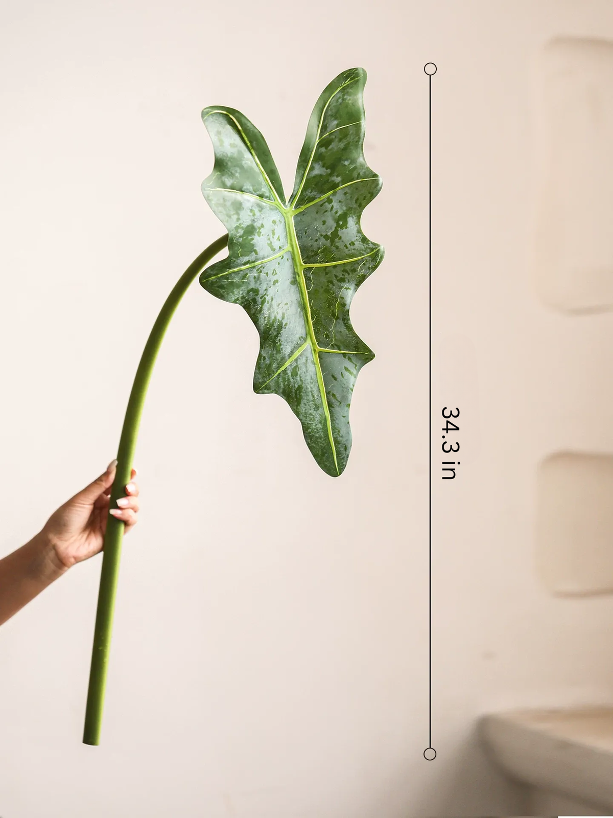 Statement Alocasia Leaf – 34.3"