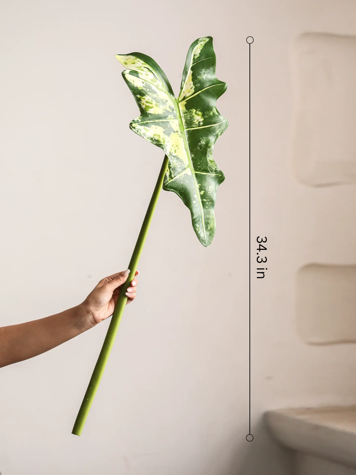 Statement Alocasia Leaf – 34.3"