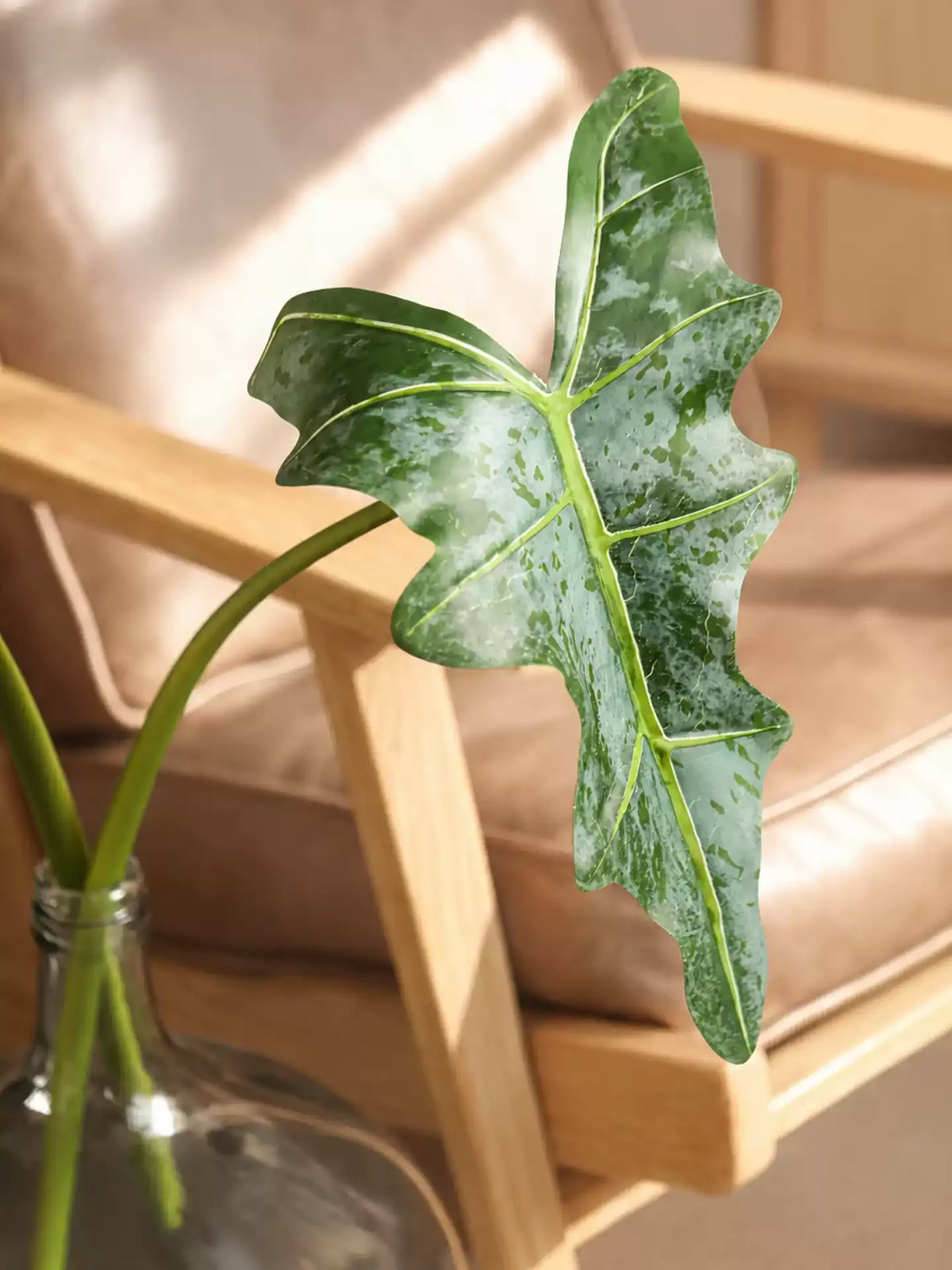 Statement Alocasia Leaf – 34.3"