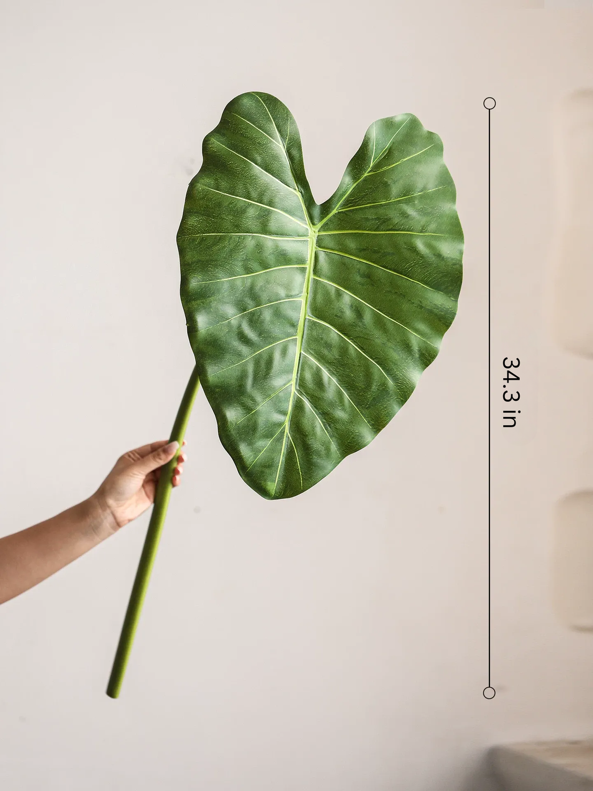 Statement Elephant Ear Leaf – 34.3"