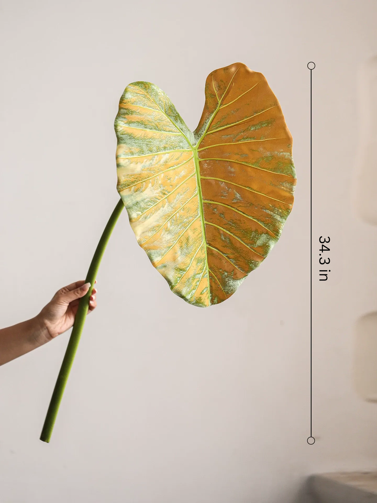 Statement Elephant Ear Leaf – 34.3"