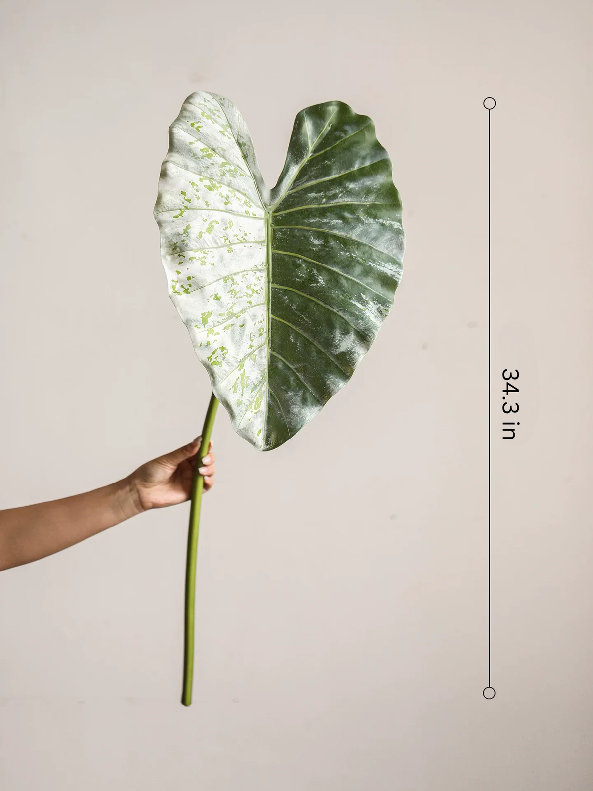 Statement Elephant Ear Leaf – 34.3"