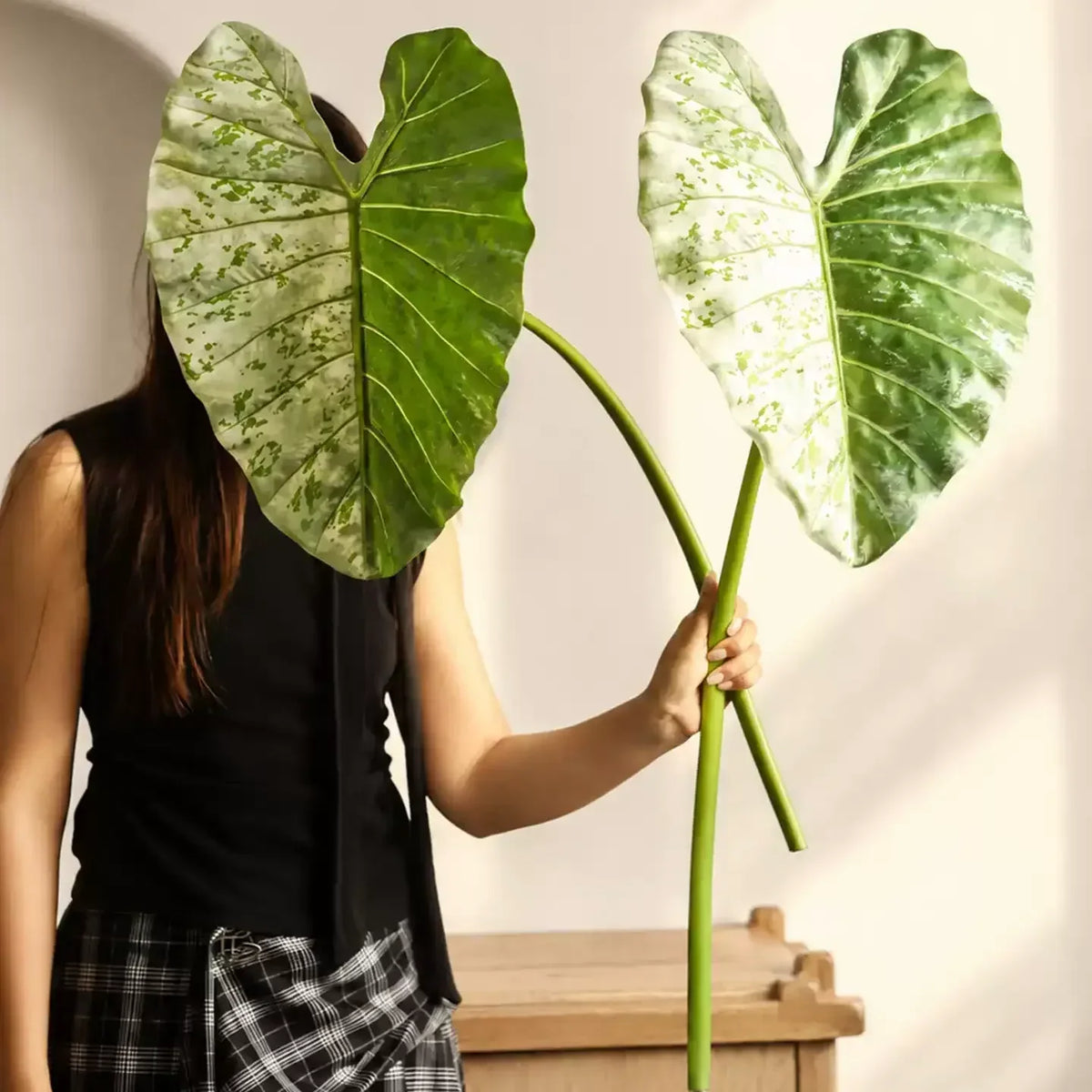Statement Elephant Ear Leaf – 34.3"