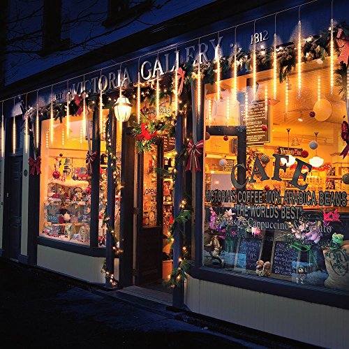 Large Indoor/Outdoor Snowfall Lights