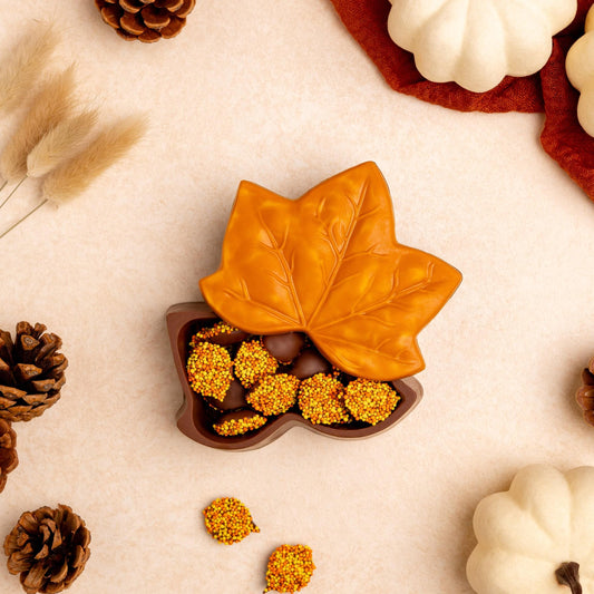 a chocolate in a leaf shaped container surrounded by pine cones