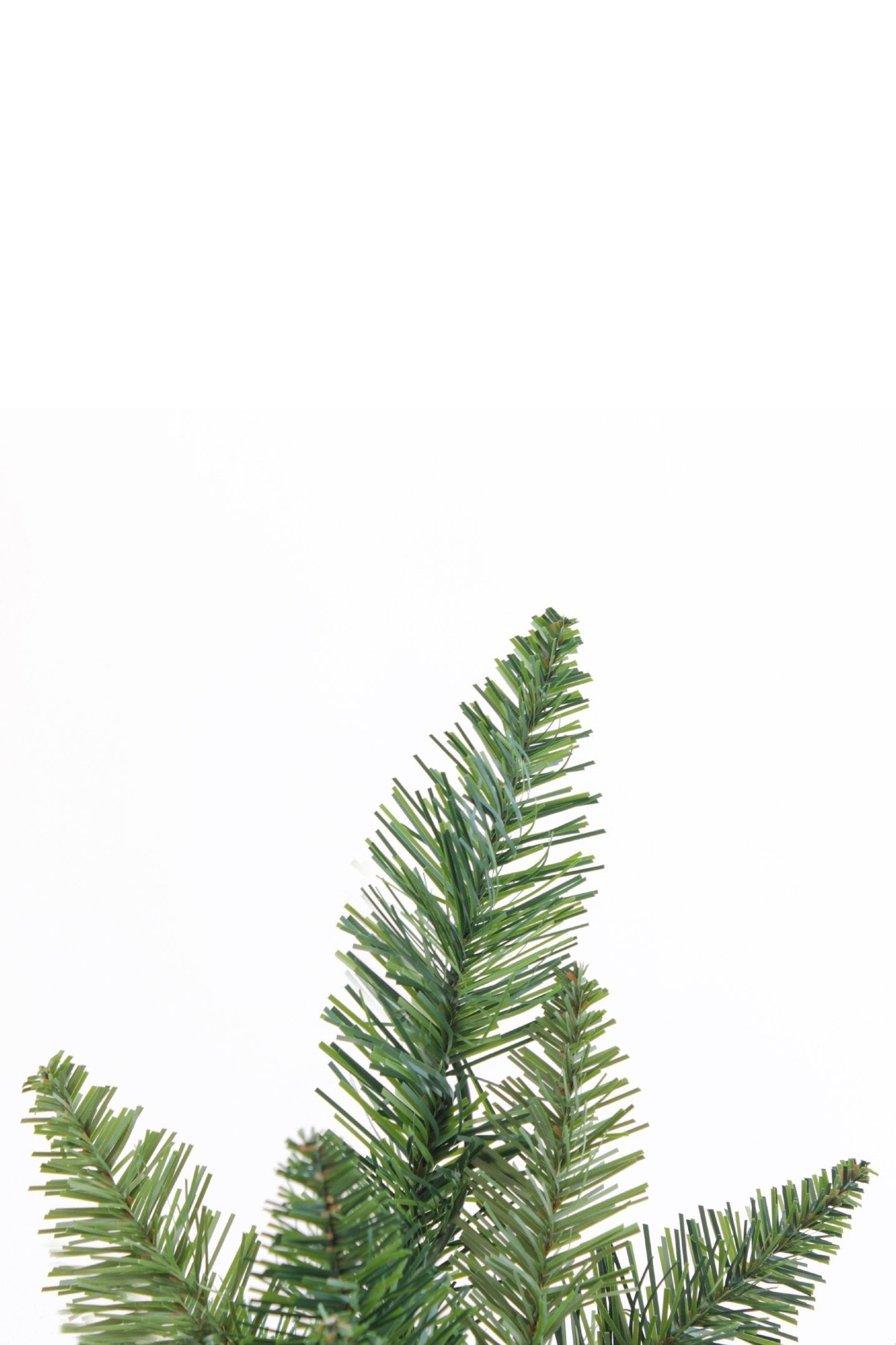 6.5' Lincoln Fir Christmas Tree